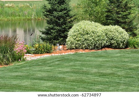 Backyard Landscaping with Lawn and Pond