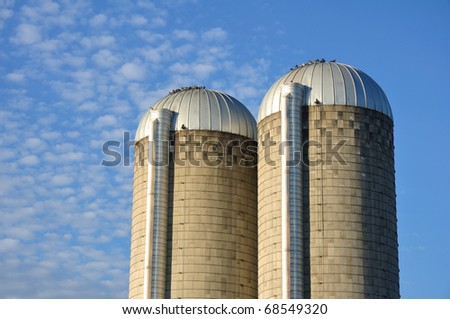 A Pair of Farm Silos Against a Blue Sky with Altocumulus Clouds