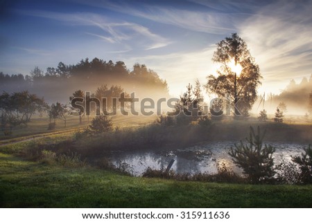 Celso fall and fog, golden autumn, pond, the pond above the mist and ducks