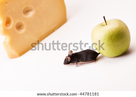 The Mouse and the apple
