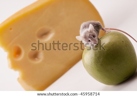 Mouse on an apple