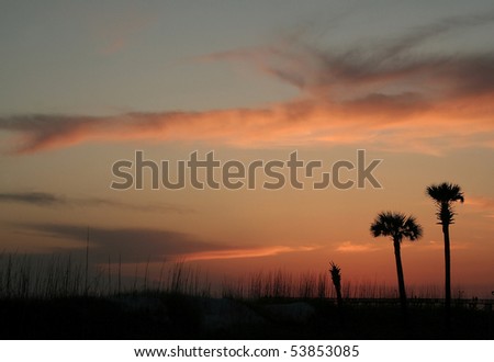 Dusty blue sky streaked with orange clouds and silhouette of beach with seaoats and palm trees.