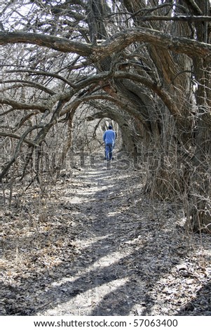 hanging branches