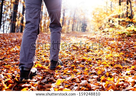 Autumn hiking. Close up of female walking uphill with lots of leaves around