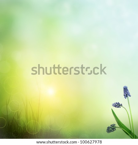 The beautiful backdrop of grass on the background bokeh