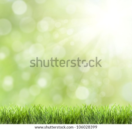 abstract green natural background