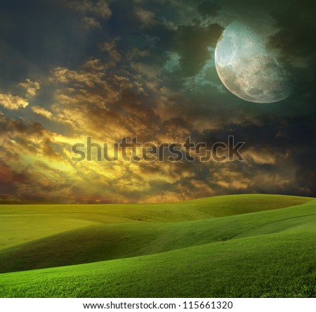 young wheat field at night with the moonlight