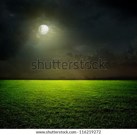 Night And The Moon On A Green Field