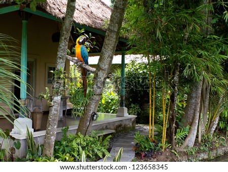 small portion of a small tropical garden