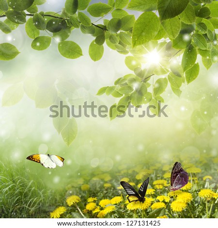 Fresh Spring bokeh: dandelions with butterfly in the meadow