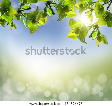 natural green background with selective focus natural green background with selective focus