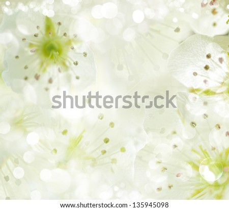 Abstract apple tree flowers out of focus
