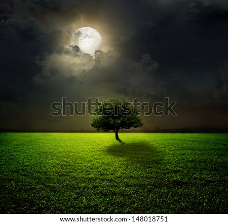 Night and the moon on a green field Night and the moon on a green field