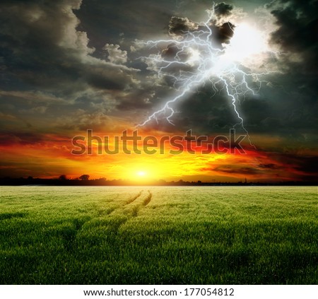 Stormy Weather Over Wheat Field
