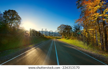 Asphalt road through the forest . A series of pictures of autumn road