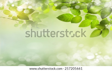 Eco nature green and blue abstract defocused background with sunshine