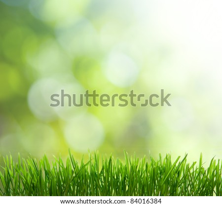 natural green background with selective focus natural green background with selective focus