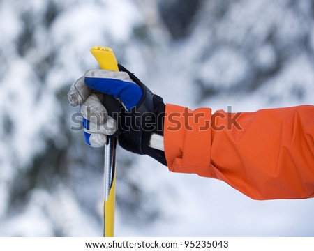 Hand and ski pole with selective focus