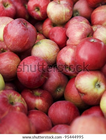 Full Frame of Red Apples