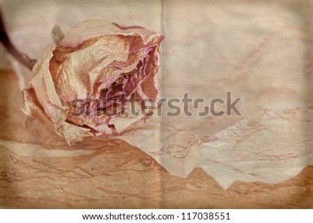 Dry rose on crumpled paper Photo style in vintage colors with added paper texture effect