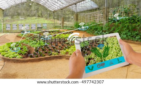 Smart Agriculture and Internet of things in agriculture concept. Farmer using digital tablet application to monitor and control conditions from wireless sensor network in vegetables plant.