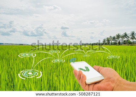 Smart Agriculture and Internet of things in agriculture concept. Farmer using smart phone application to monitor and control conditions from wireless sensor network in vegetables plant.