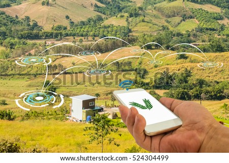 Precision Agriculture and Agritech concept. Hand holding smart phone connected with Sensor network in Agriculture technology against agricultural field background.