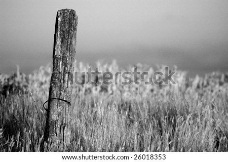 fence post on abandon farm