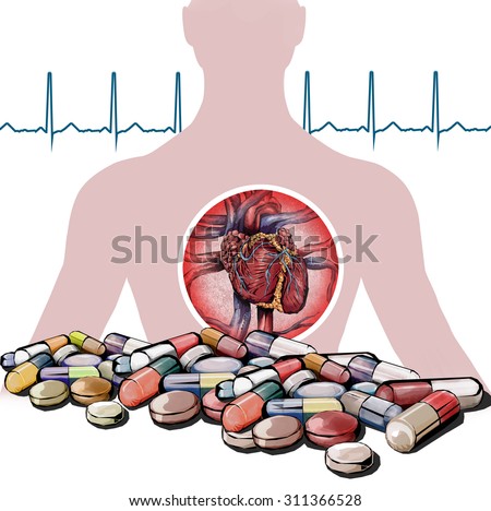 heart and human vascular system. drugs