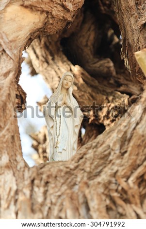 Mother,Mary,  hidden in a hollow willow