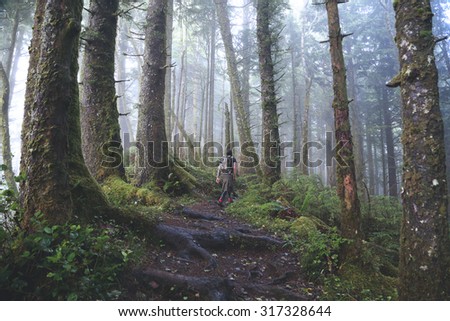 CANNON BEACH, OREGON - SEPTEMBER 10: A man in a hiking kilt takes the Tillamook Head Trail through the coastal rainforests of Ecola State Park on September 10, 2015 along the Oregon Coast.