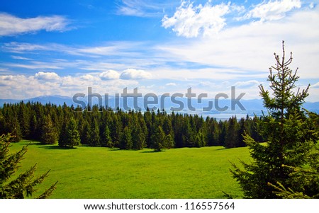 beautiful view of a meadow and mountains near Liptovsky Mara in Slovakia