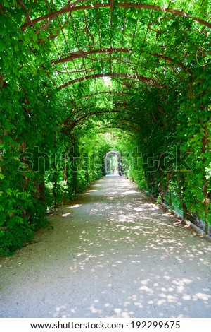 footpath with green leaved arches in Schonbrunn Palace Park in Vienna