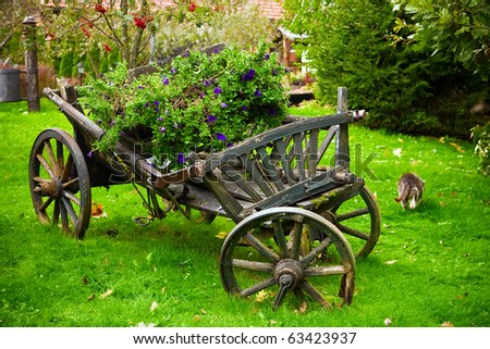 old rusty cart staying in the village, its decorated with flowers