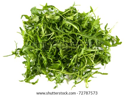 Salad Rocket