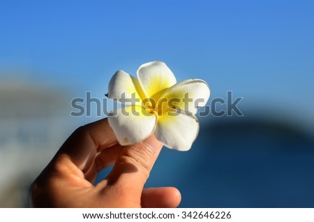 hold flower