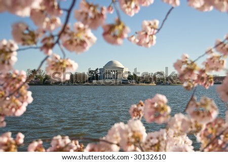 Washington DC cherry blossom festival 2008