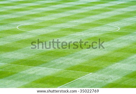 Grass field marked up for soccer (European football)