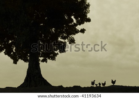 Tree and chickens