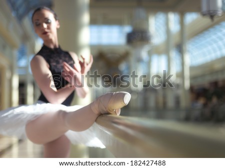 Ballet Dancer, Various Poses