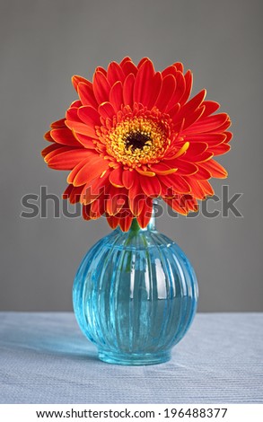 A red flower in a vase full of water.