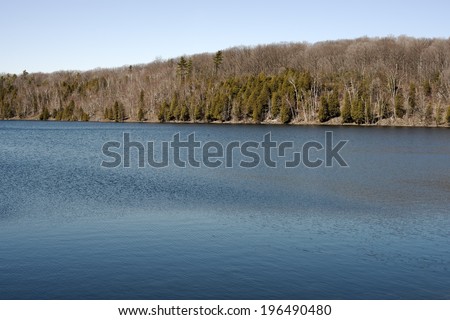 A hill with trees overlooking a calm blue lake on a sunny day.