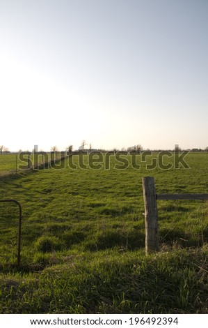 A fence with a gate on a tree lined pasture.