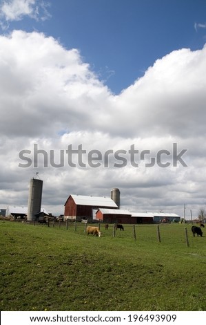 A field with cows, a fence, a silo, and buildings.