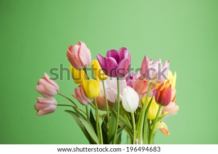 A bunch of freshly picked tulips in various pastel shades.