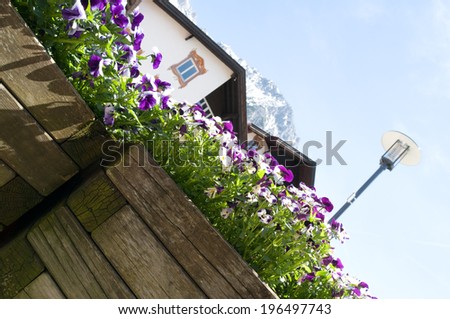 Purple flowers in wooden boxes beside a house and a light post.
