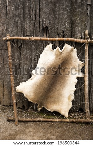 The hide of an animal being stretched on a wooden frame.