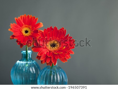 Two red flowers in two separate blue vases.