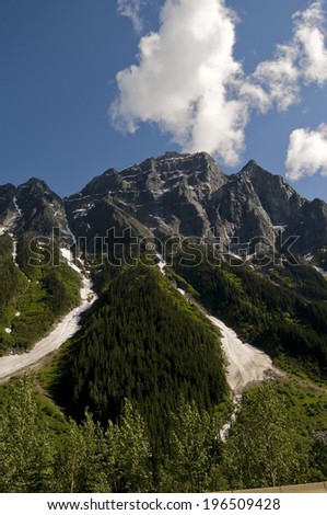 Rocky mountains under a blue sky with trees along the lower sections.