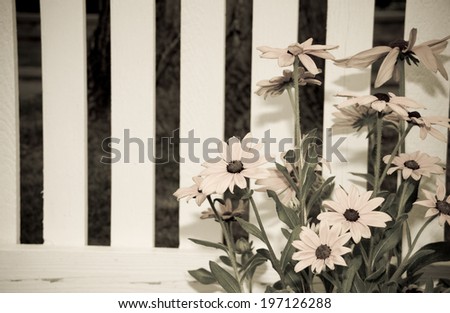 A cluster of flowers with white petals grow next to a white fence.